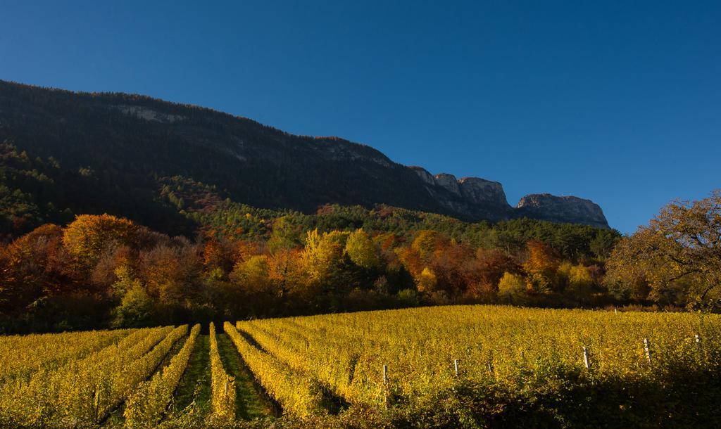 Weingut Wolkanhof Appiano Sulla Strada Del Vino Zewnętrze zdjęcie