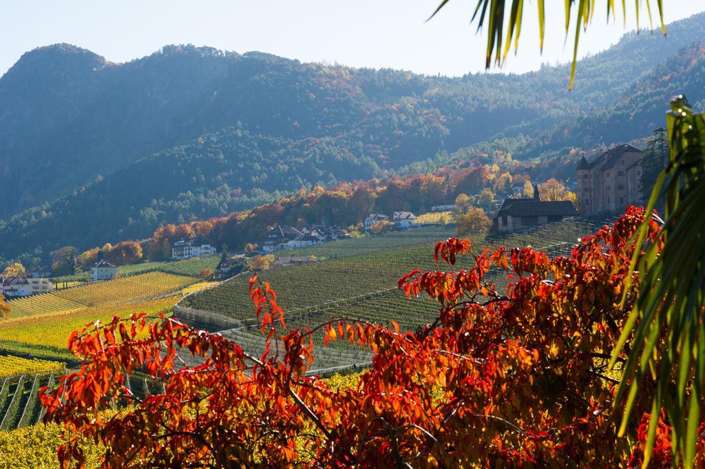 Weingut Wolkanhof Appiano Sulla Strada Del Vino Zewnętrze zdjęcie
