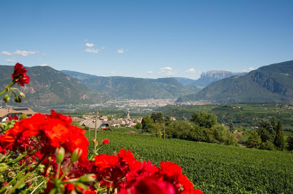 Weingut Wolkanhof Appiano Sulla Strada Del Vino Zewnętrze zdjęcie