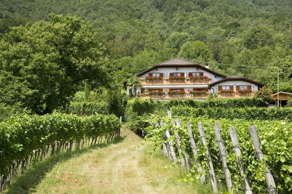 Weingut Wolkanhof Appiano Sulla Strada Del Vino Zewnętrze zdjęcie