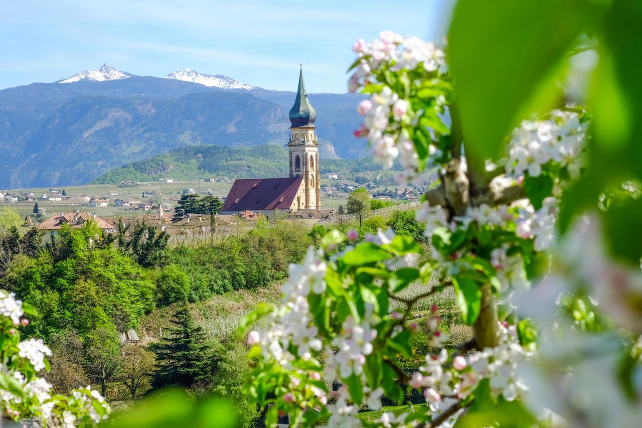 Weingut Wolkanhof Appiano Sulla Strada Del Vino Zewnętrze zdjęcie