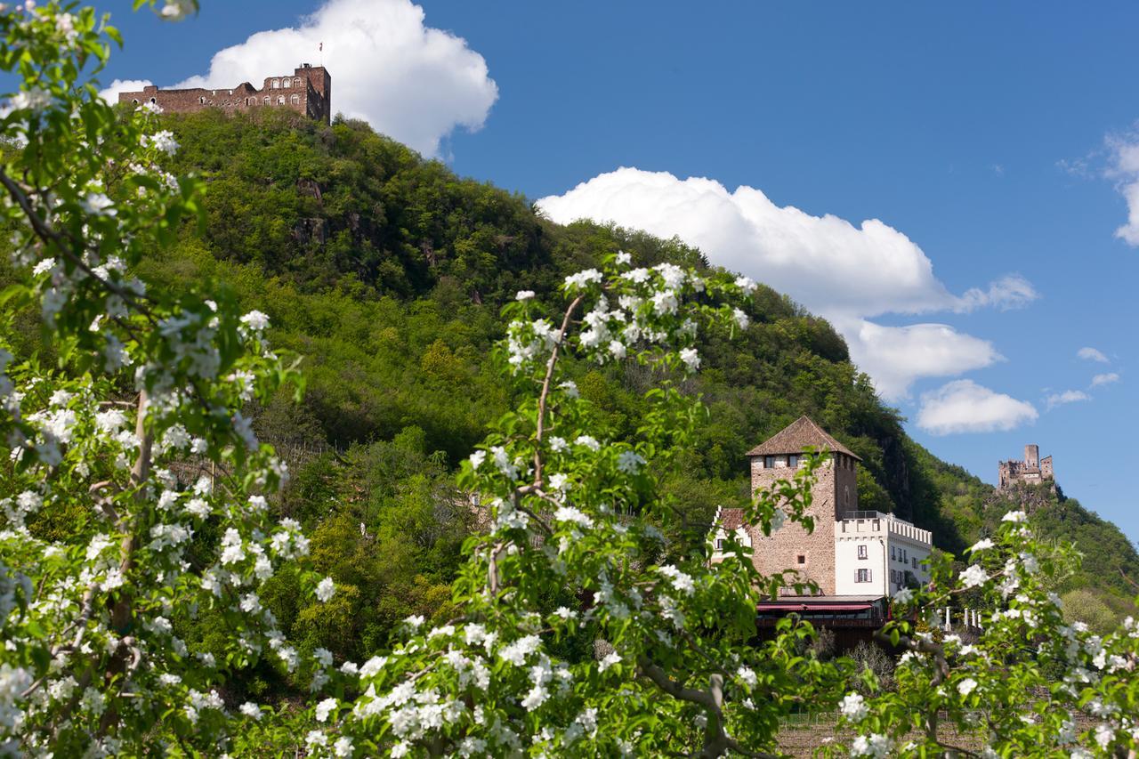 Weingut Wolkanhof Appiano Sulla Strada Del Vino Zewnętrze zdjęcie